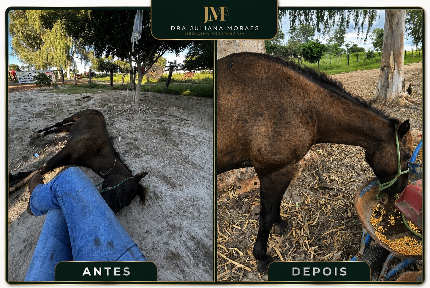 Antes e depois